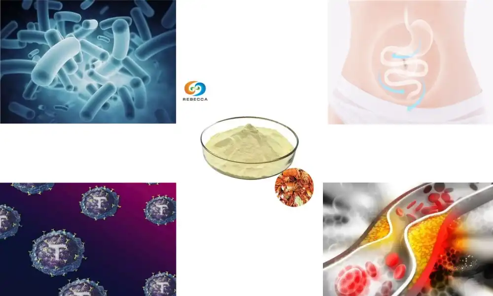 What is chitosan oligosaccharide?